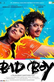 Bad Boy (2023) Hindi HD ZEE5