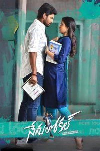Super Khiladi 4 (Nenu Local ) Hindi Dubbed