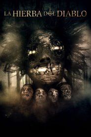 La Hierba del Diablo (2024) Unofficial Hindi Dubbed