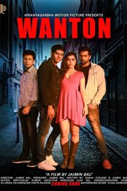Wanton (2020) Hindi HD