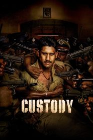 Custody (2023) Hindi Dubbed AMZN