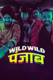 Wild Wild Punjab (2024) Hindi HD Netflix