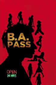B.A. Pass (2012) Hindi HD