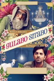 Gulabo Sitabo (2020) Hindi HD