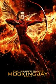 The Hunger Games: Mockingjay – Part 2 (2015) Hindi Dubbed