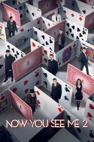 Now You See Me 2 (2016) Hindi Dubbed