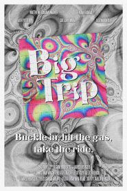 Big Trip (2024) Unofficial Hindi Dubbed