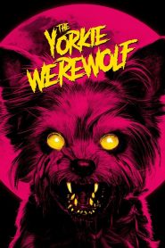 The Yorkie Werewolf (2024) Unofficial Hindi Dubbed