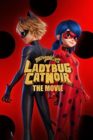 Miraculous Ladybug and Cat NoirThe Movie (2023) Hindi Dubbed PreDvD