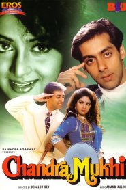 Chandra Mukhi (1993) Hindi HD