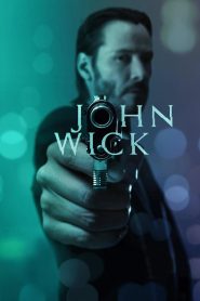 John Wick (2014) Hindi Dubbed