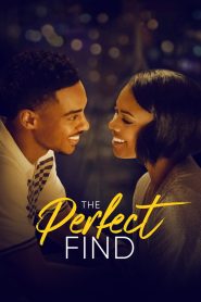 The Perfect Find (2023) Hindi Dubbed Netflix