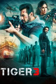 Tiger 3 (2023) Hindi HD AMZN