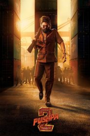 Pushpa 2 Reloaded (2024) Hindi Dubbed