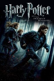 Harry Potter and the Deathly Hallows: Part 1 (2010) Hindi Dubbed