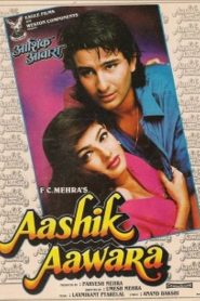 Aashik Aawara (1993) Hindi HD