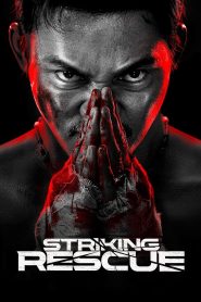 Striking Rescue (2024) Unofficial Hindi Dubbed