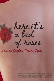 Here Its a Bed of Roses (2023) Unofficial Hindi Dubbed