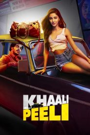 Khaali Peeli (2020) Hindi Zee Flix