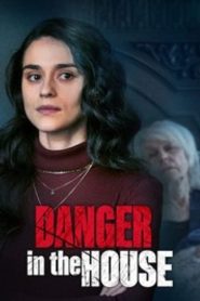 Danger in the House (2022) Hindi Dubbed