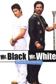 Mr. Black Mr. White (2008) Hindi HD