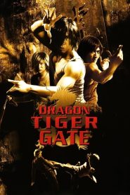 Dragon Tiger Gate (2006) Hindi Dubbed