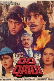 Do Qaidi (1989) Hindi HD