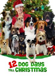 12 Dog Days Till Christmas (2014) Hindi Dubbed