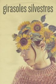 Girasoles silvestres (2022) Unofficial Hindi Dubbed