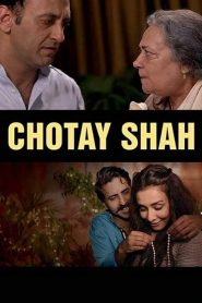 Chotay Shah (2016) Hindi HD