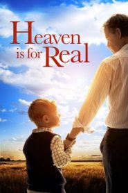 Heaven is for Real Hindi Dubbed