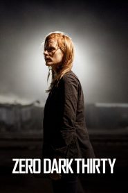 Zero Dark Thirty (2012) Hindi Dubbed