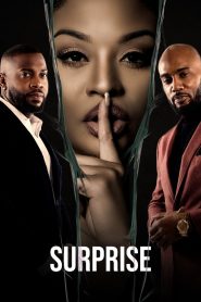 Surprise (2023) Unofficial Hindi Dubbed
