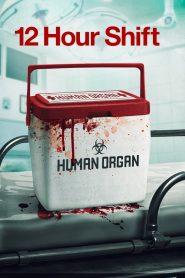 12 Hour Shift (2020) Hindi Dubbed