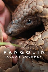 Pangolin: Kulus Journey (2025) Hindi Dubbed Netflix
