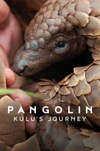 Pangolin: Kulus Journey (2025) Hindi Dubbed Netflix