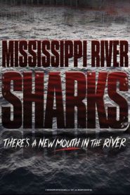 Mississippi River Sharks (2017) Hindi Dubbed