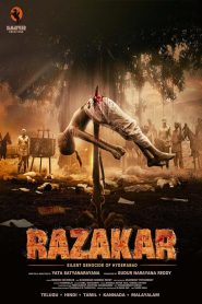 Razakar: The Silent Genocide of Hyderabad (2024) Hindi PreDvD V2