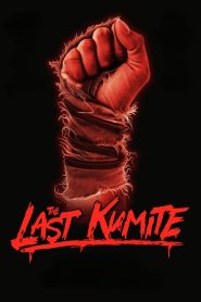 The Last Kumite (2024) Unofficial Hindi Dubbed